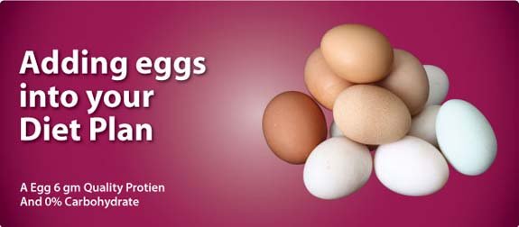 Egg Nutrition