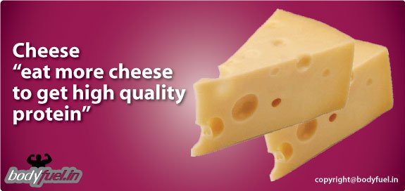 Cheese Nutrition